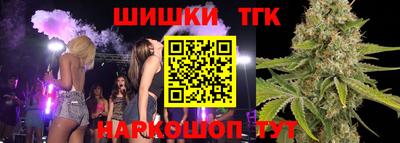 МДПВ Новодвинск