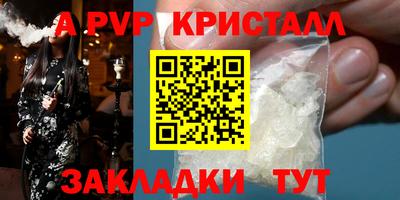 крисы Новокубанск