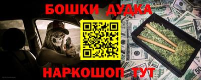 крисы Новокубанск