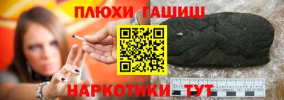 крисы Новокубанск