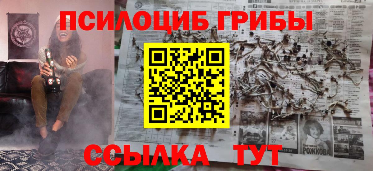 наркотики  Вход с VPN  Тобольск  Псилоцибиновые грибы GOLDEN TEACHER 