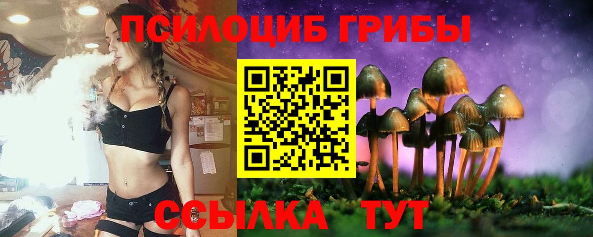 Псилоцибиновые грибы ЛСД Тобольск